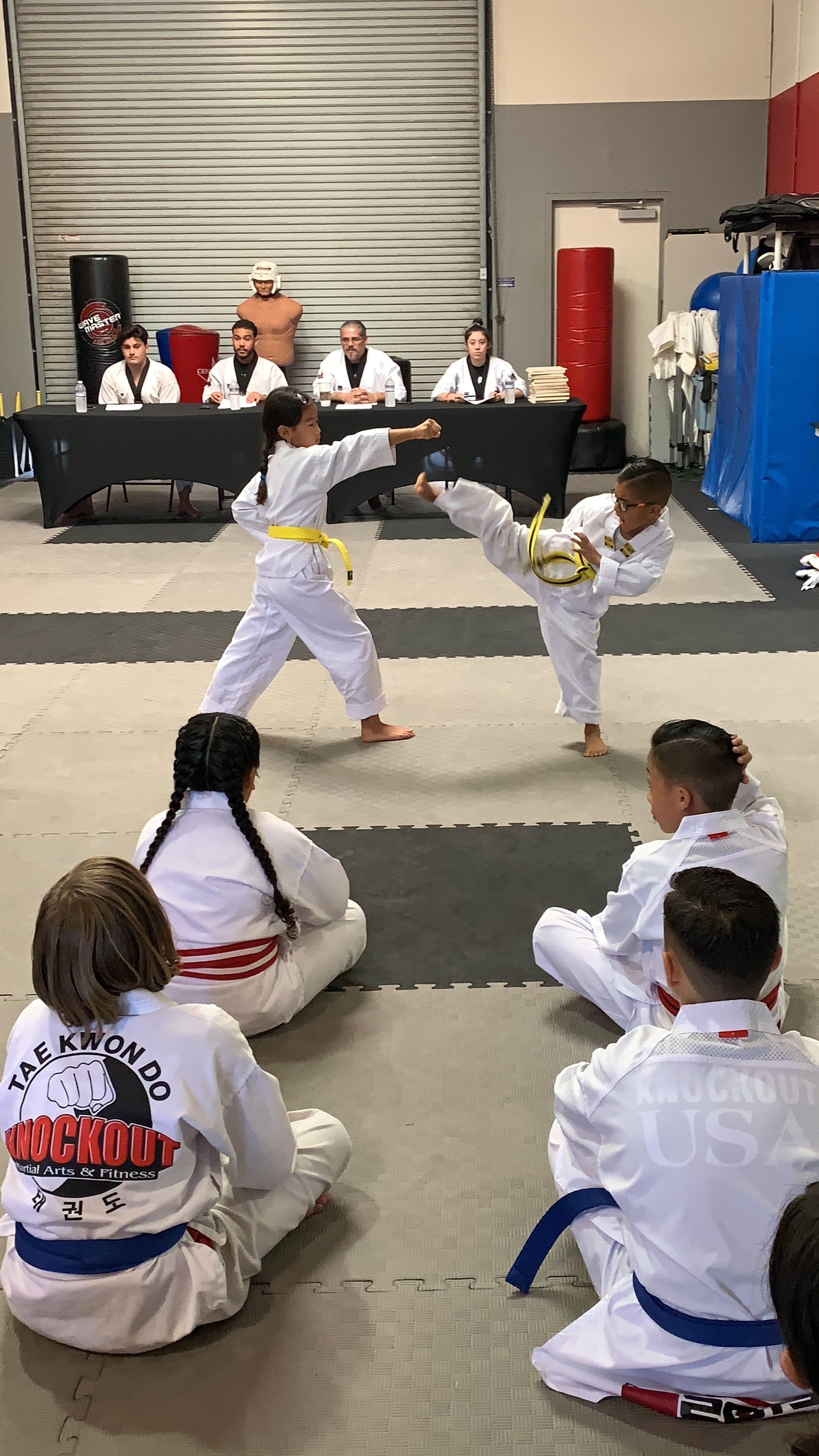 Taekwondo Sparring Knockouts